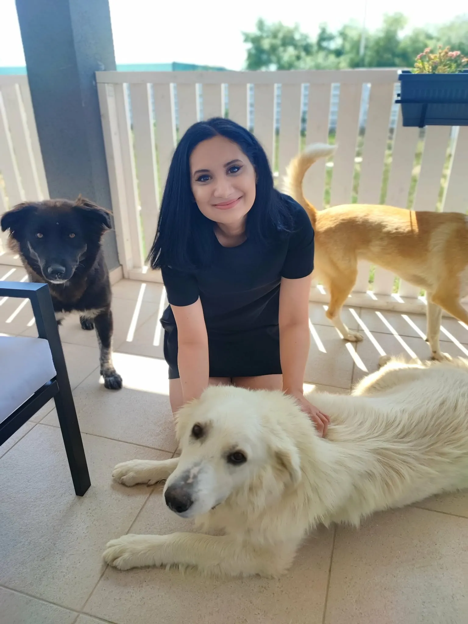 Suflete adoptate de pe străzi